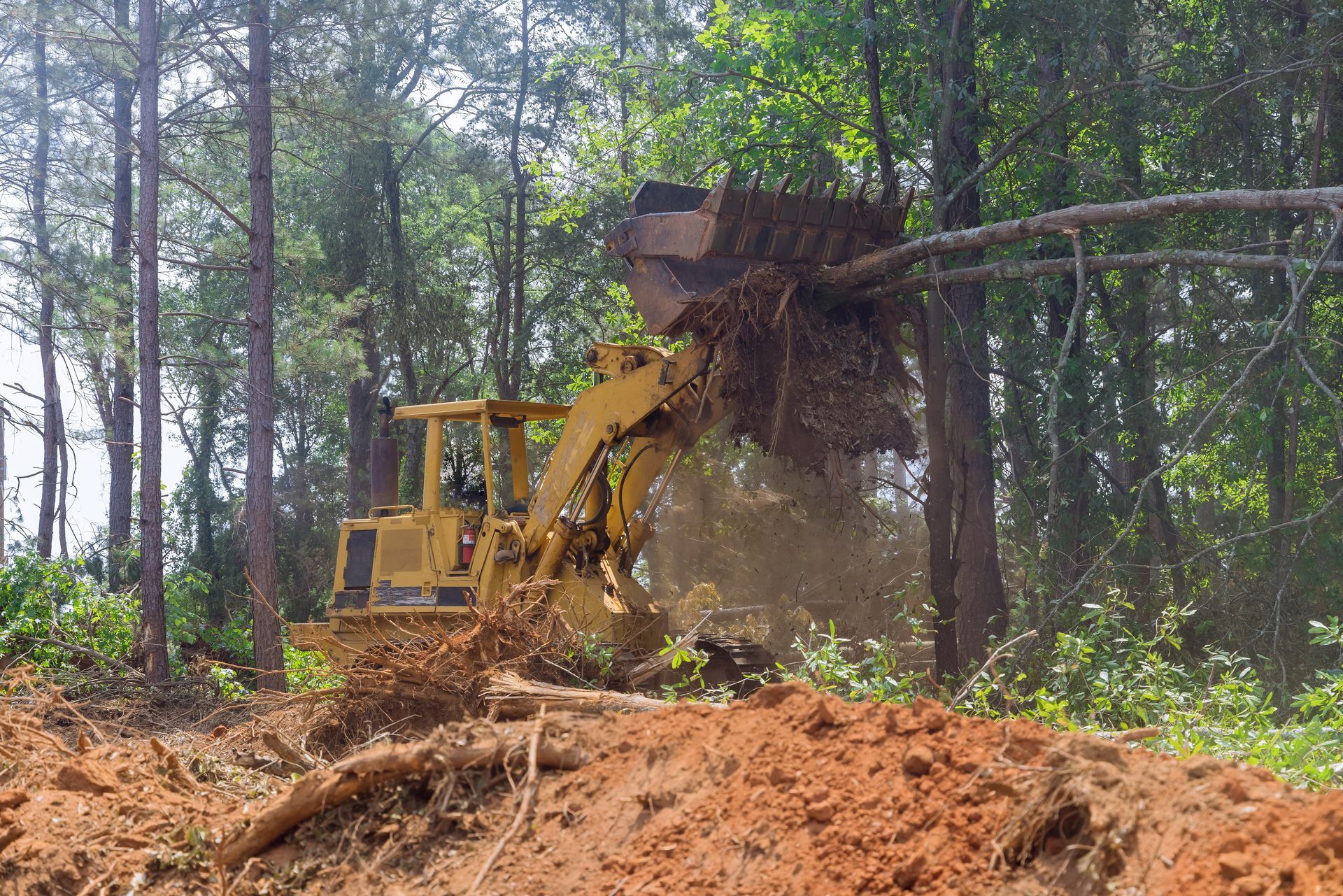 A yellow forestry mulcher lifting a fallen tree with its roots and dirt, showcasing land clearing in a wooded area.