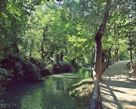 River flowing through a green, tree-lined park with a walking path on the right side.