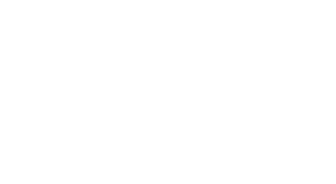 Avalon Blue Line Baggage logo