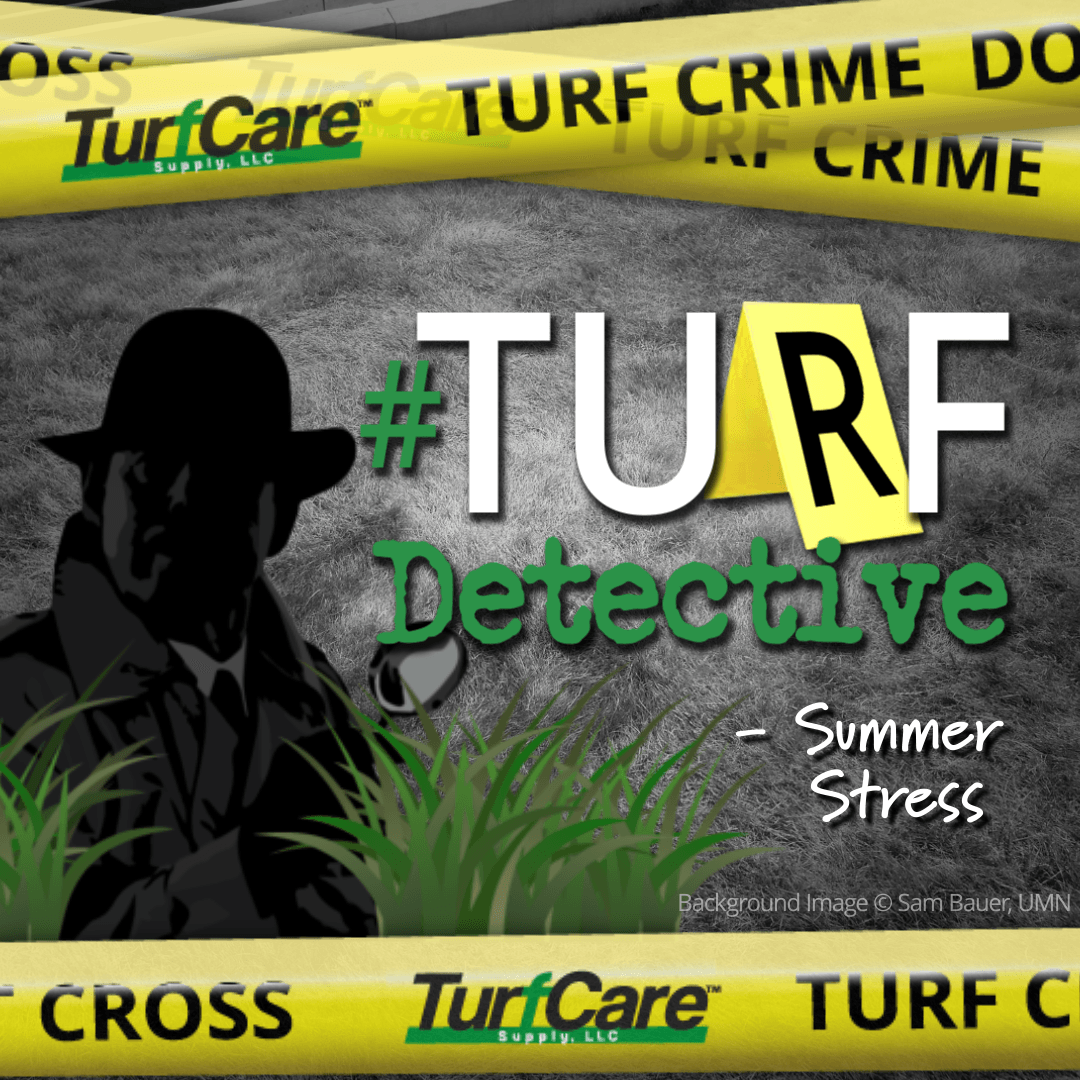 A poster for #turf detective summer stress