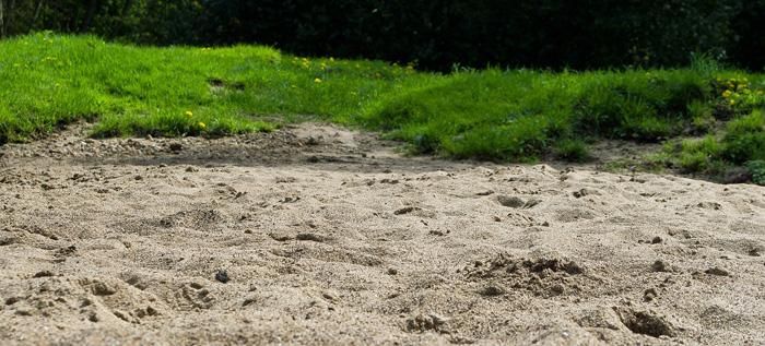 A sandy area with a grassy hill in the background.