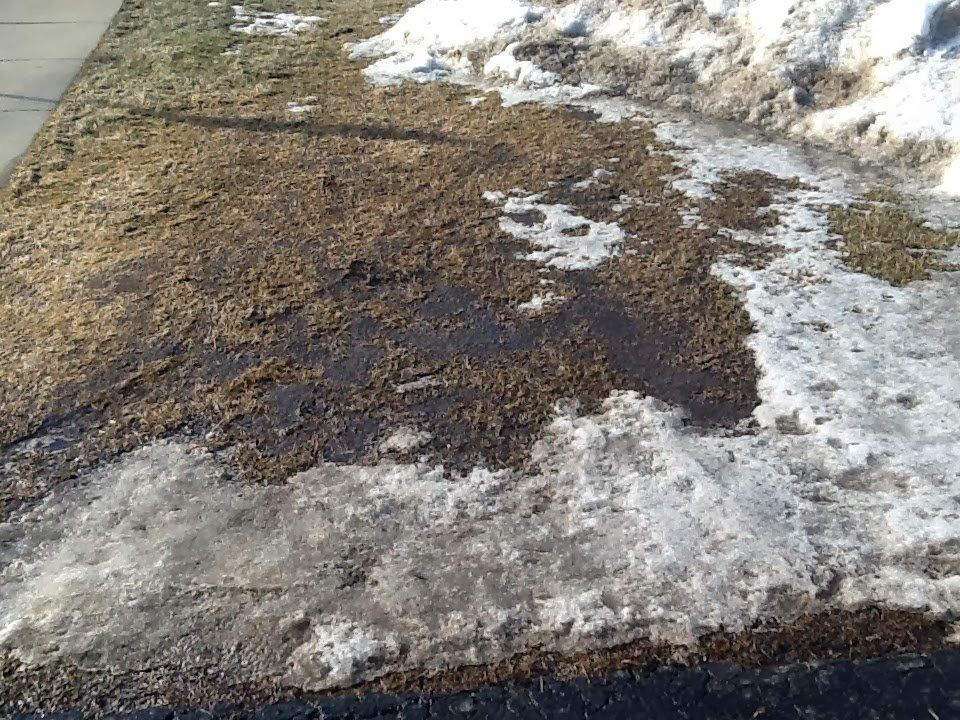 ice melt damage on turf