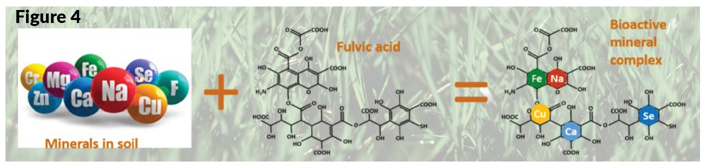 A diagram showing the chemical structure of minerals in soil