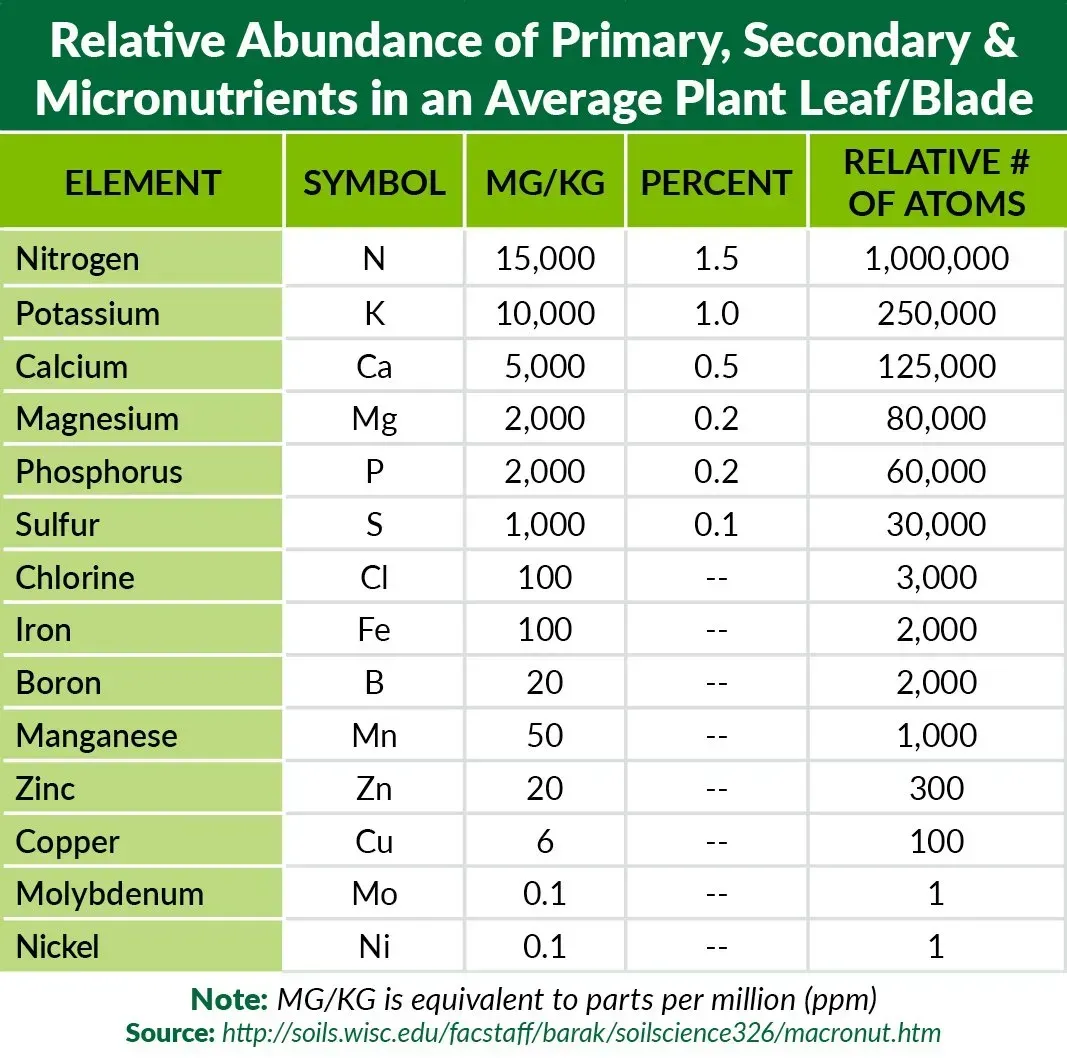 A table showing the relative abundance of primary secondary and micronutrients in an average plant leaf / blade
