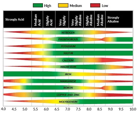 A chart showing different types of acids and alkaline levels