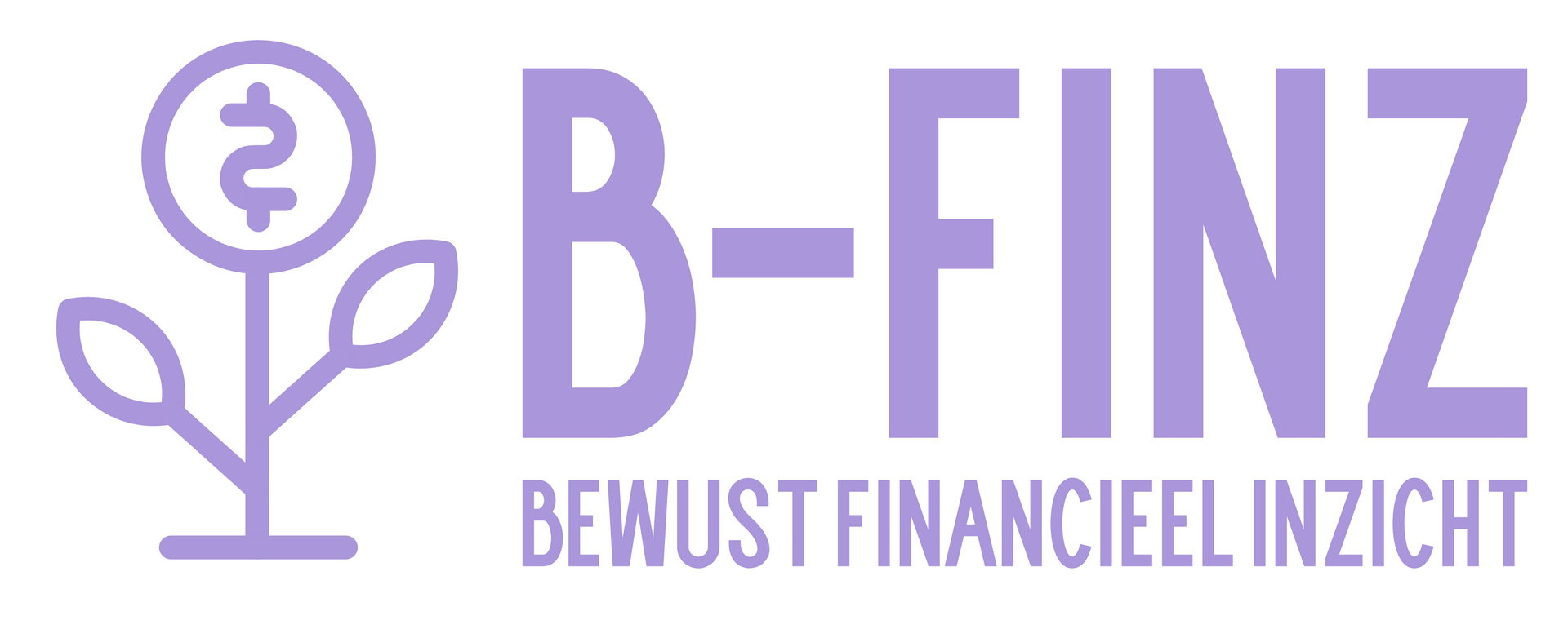 B-Finz bewust financieel inzicht
