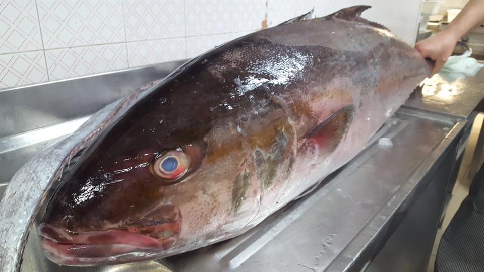 Pesce appena pescato