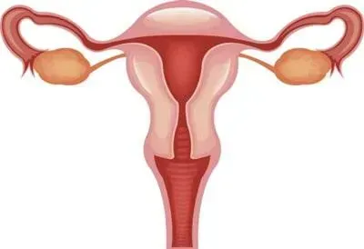 DR. ARNOLDO J. RODRÍGUEZ CABALLERO