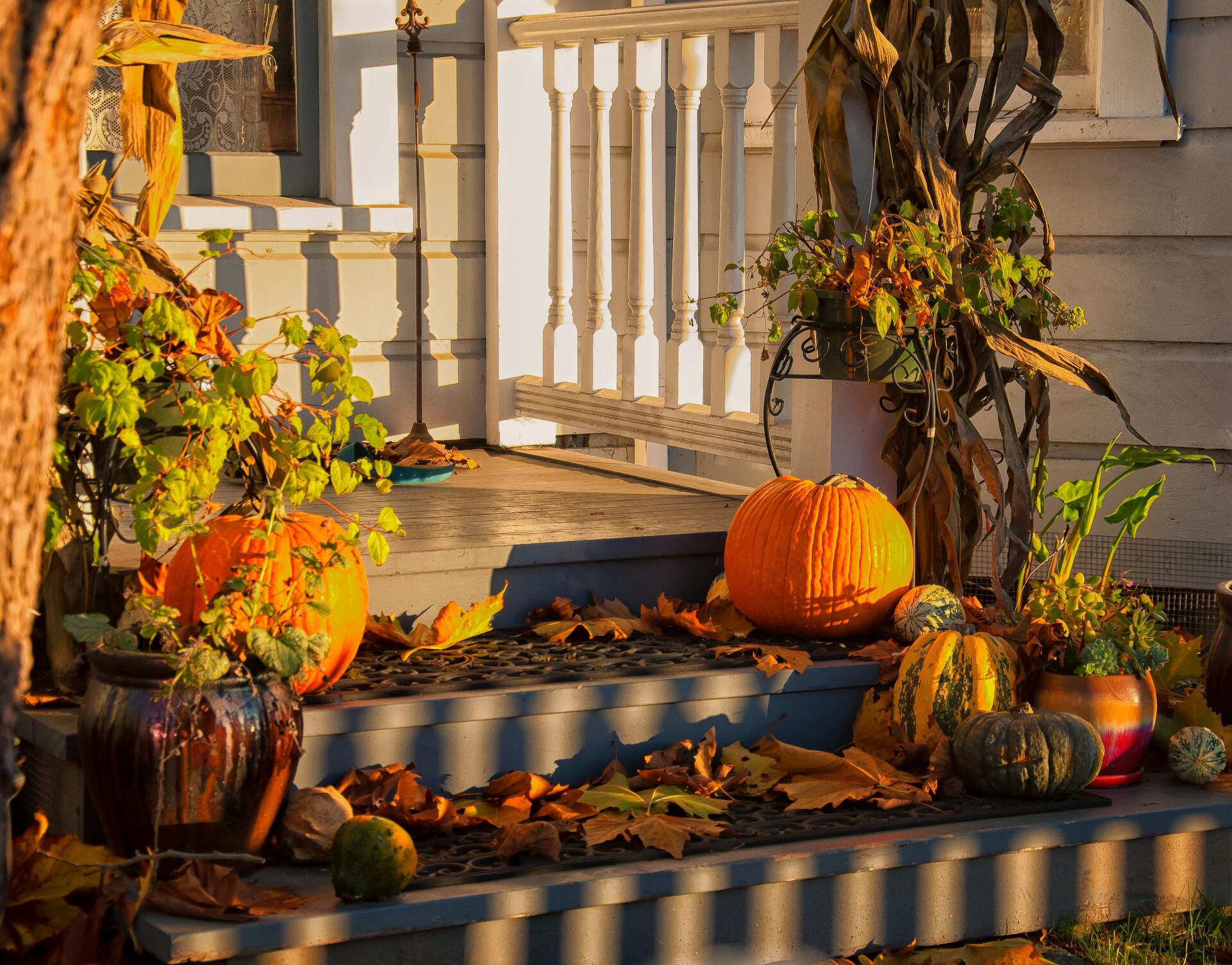 Front steps flanked with pumpkins, fall leaves, and dried corn stalks