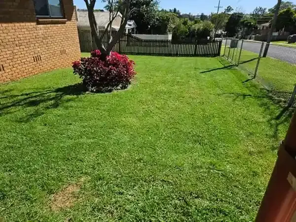 LAWN MOWING