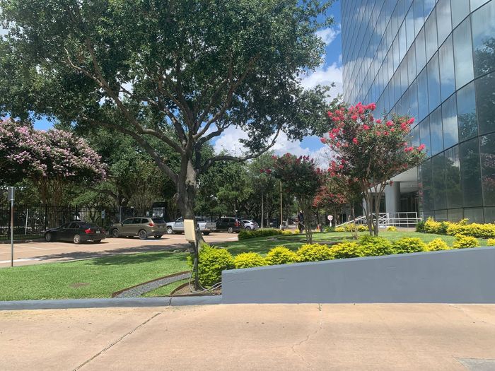 North Houston executives 
