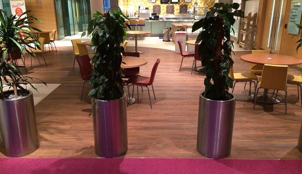 seating area in a cafe