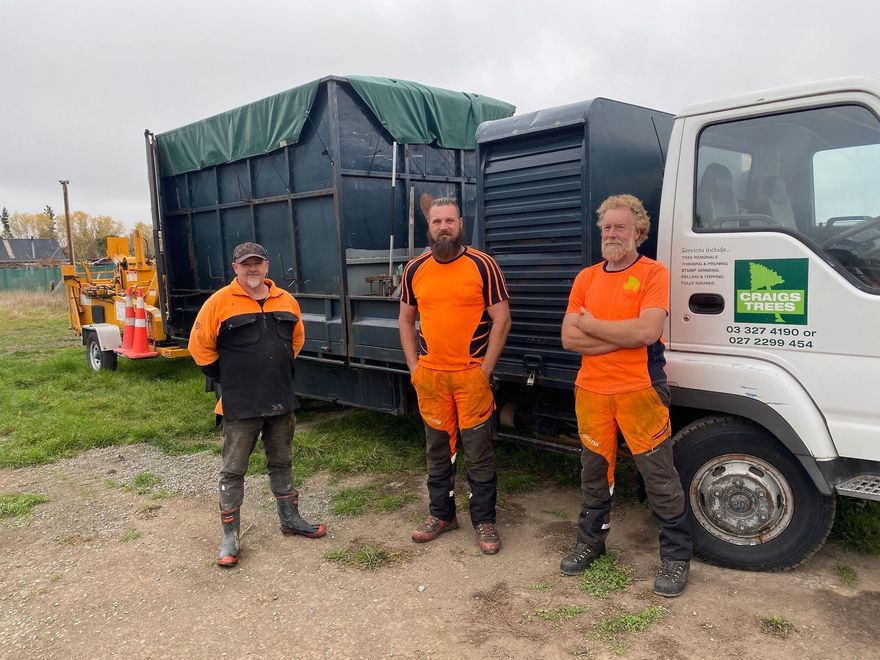 Craigs Tree Arborists Team Christchurch North Canterbury 