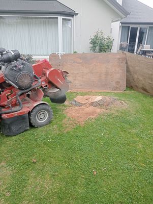 Stump Grinding Machine Christchurch