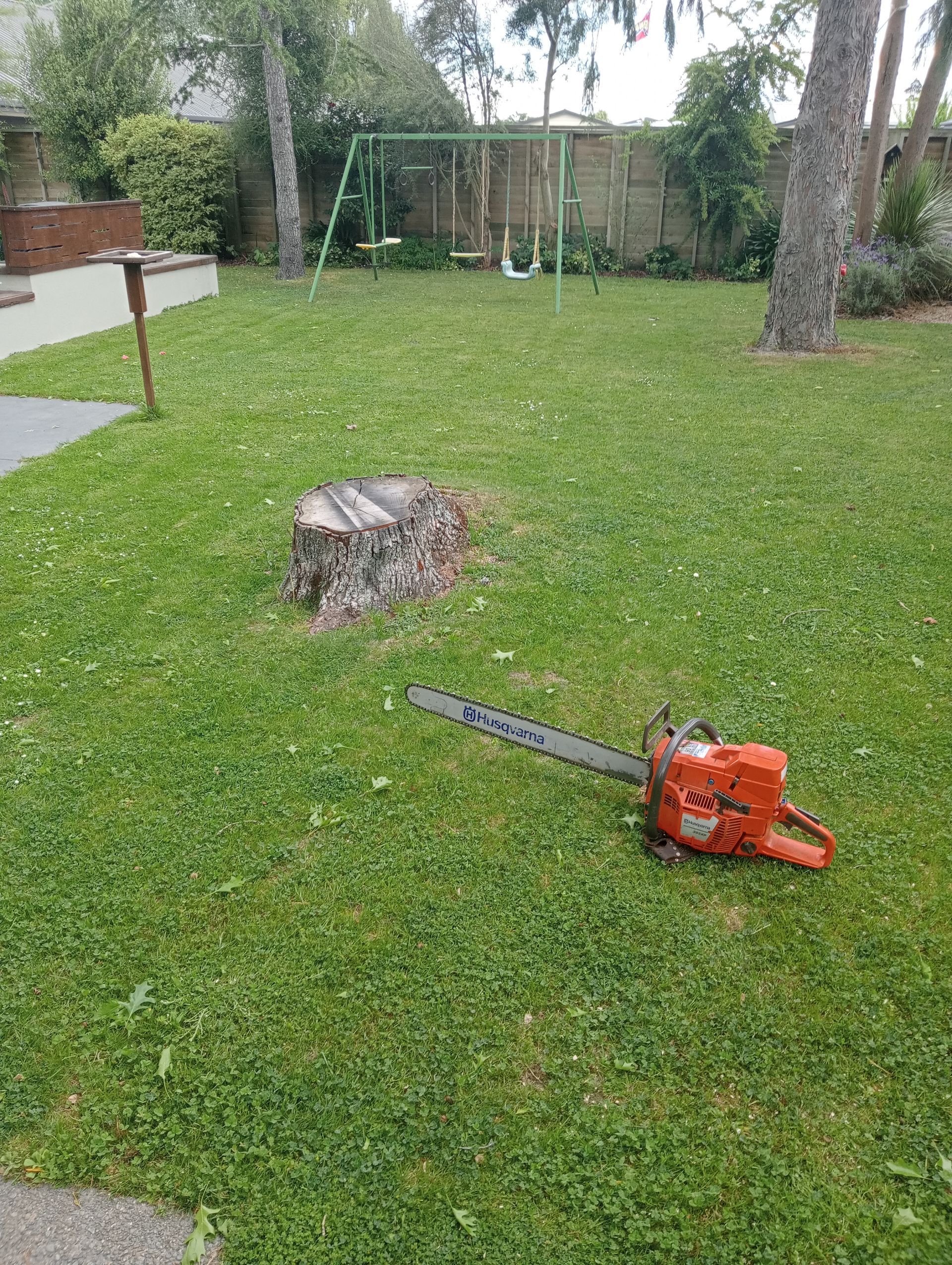 Stump Removal Christchurch 1st cut stump with chainsaw