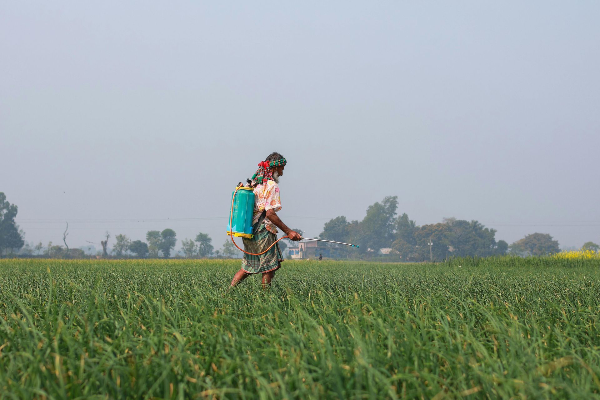 A man is spraying fertilizer on a field.