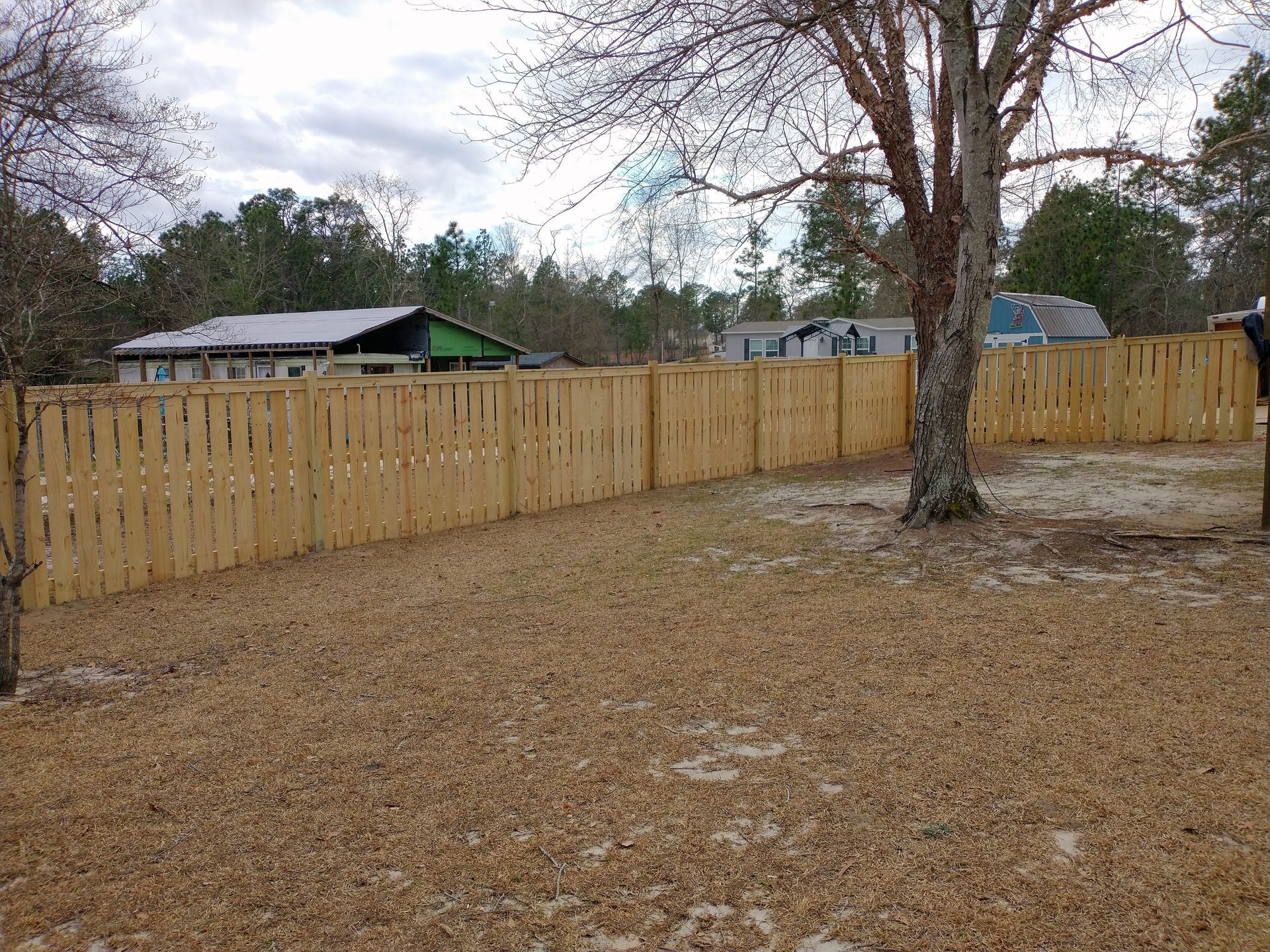 A wooden fence surrounds a yard with trees and a house in the background.