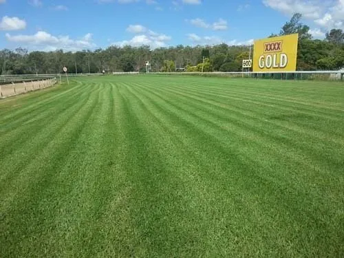 Ipswich Track Before | Woree, Queensland | Cheshire Contractors