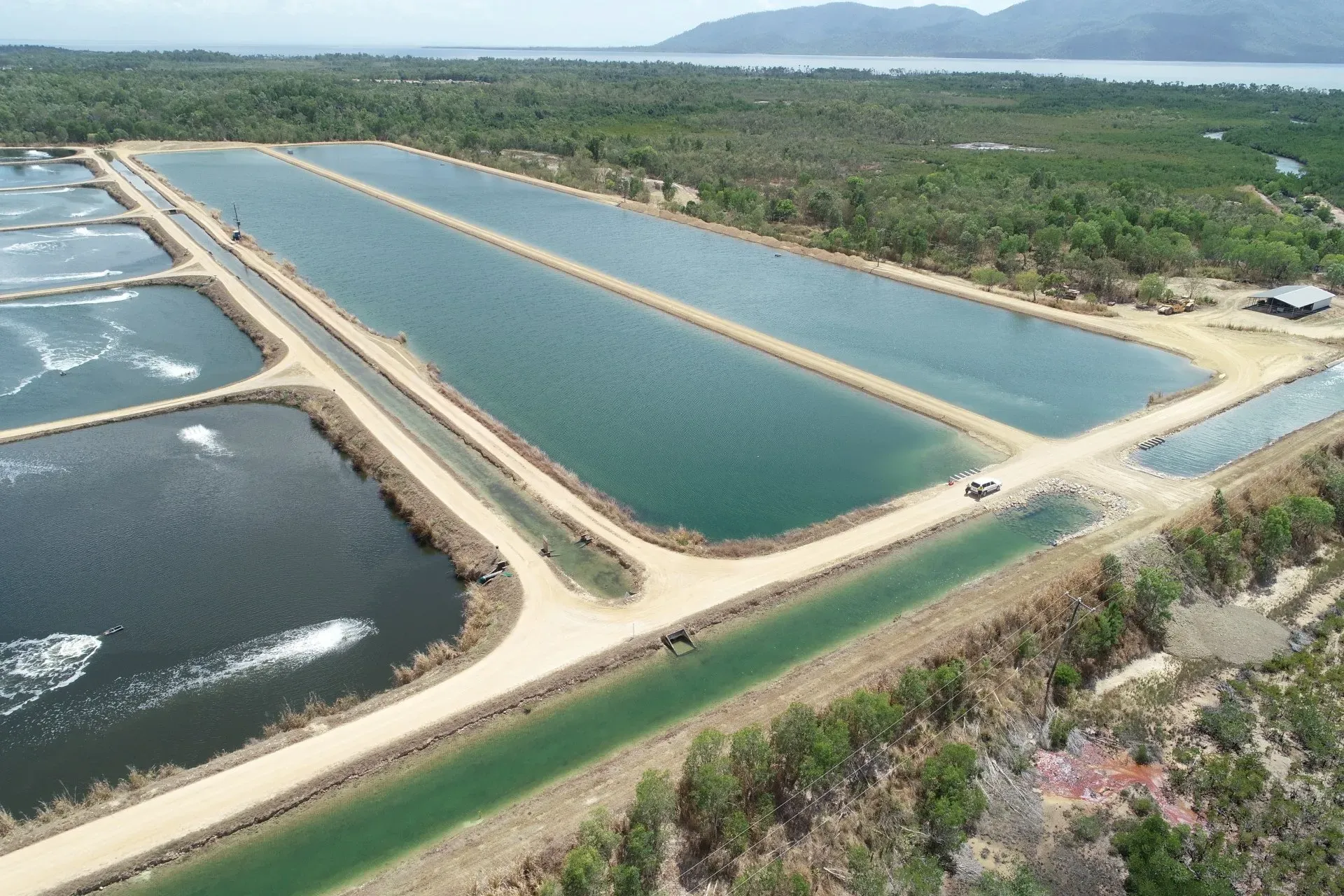 A Large Crystal Bay Prawn Farm | Woree, Queensland | Cheshire Contractors