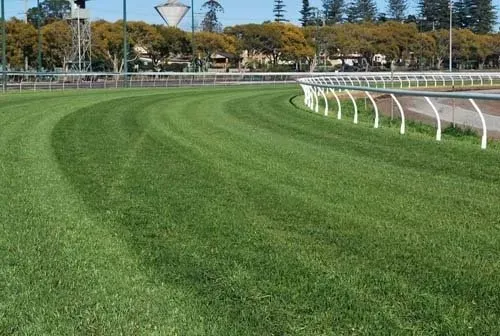 Green Grass at Clifford Park Race Course | Woree, Queensland | Cheshire Contractors