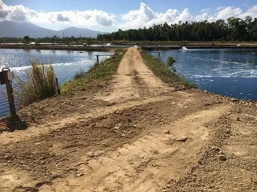 Cardwell Construction in Progress | Woree, Queensland | Cheshire Contractors