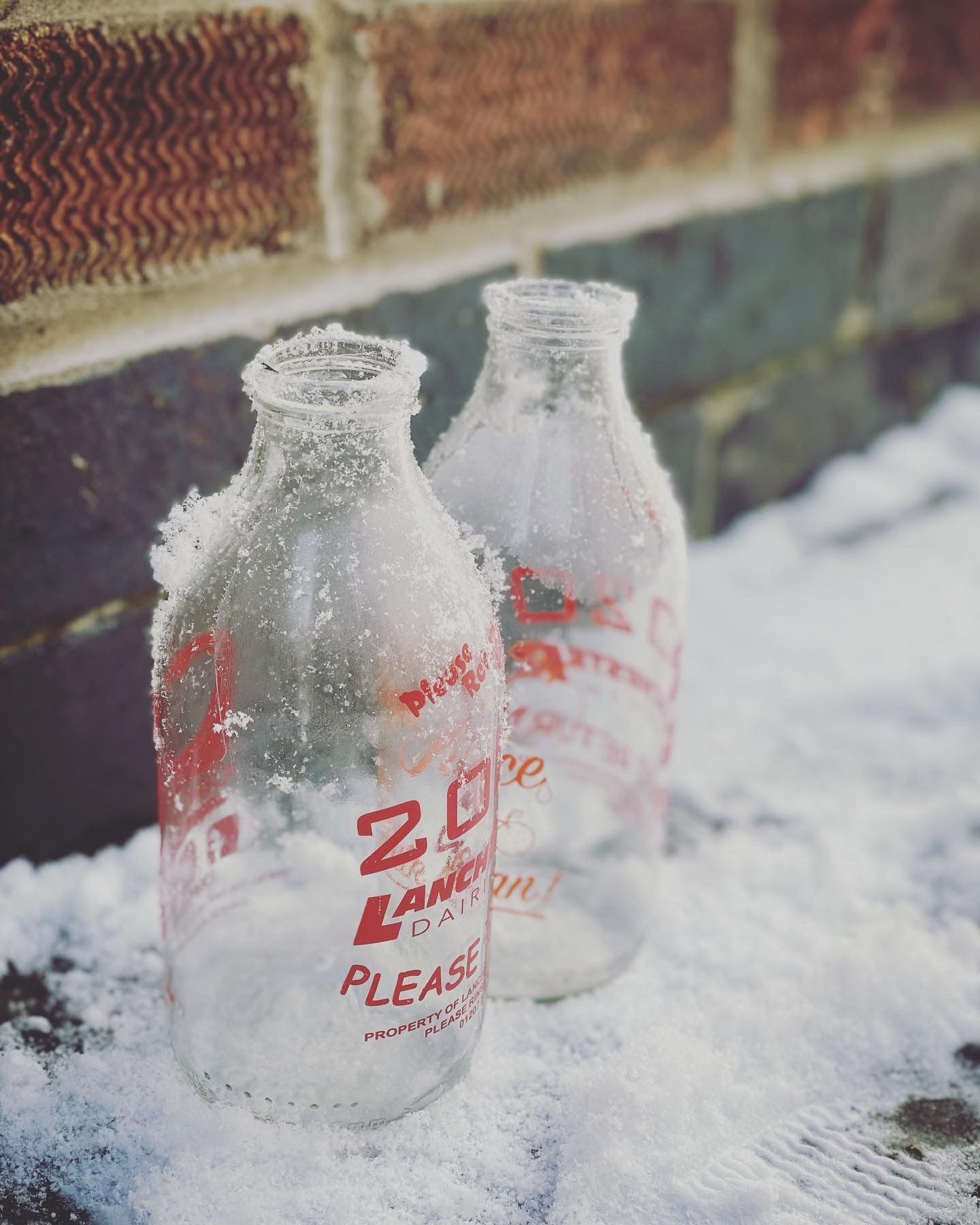 Two vintage glass milk bottles with red lettering sit in the snow against a brick wall, dusted with frost.
