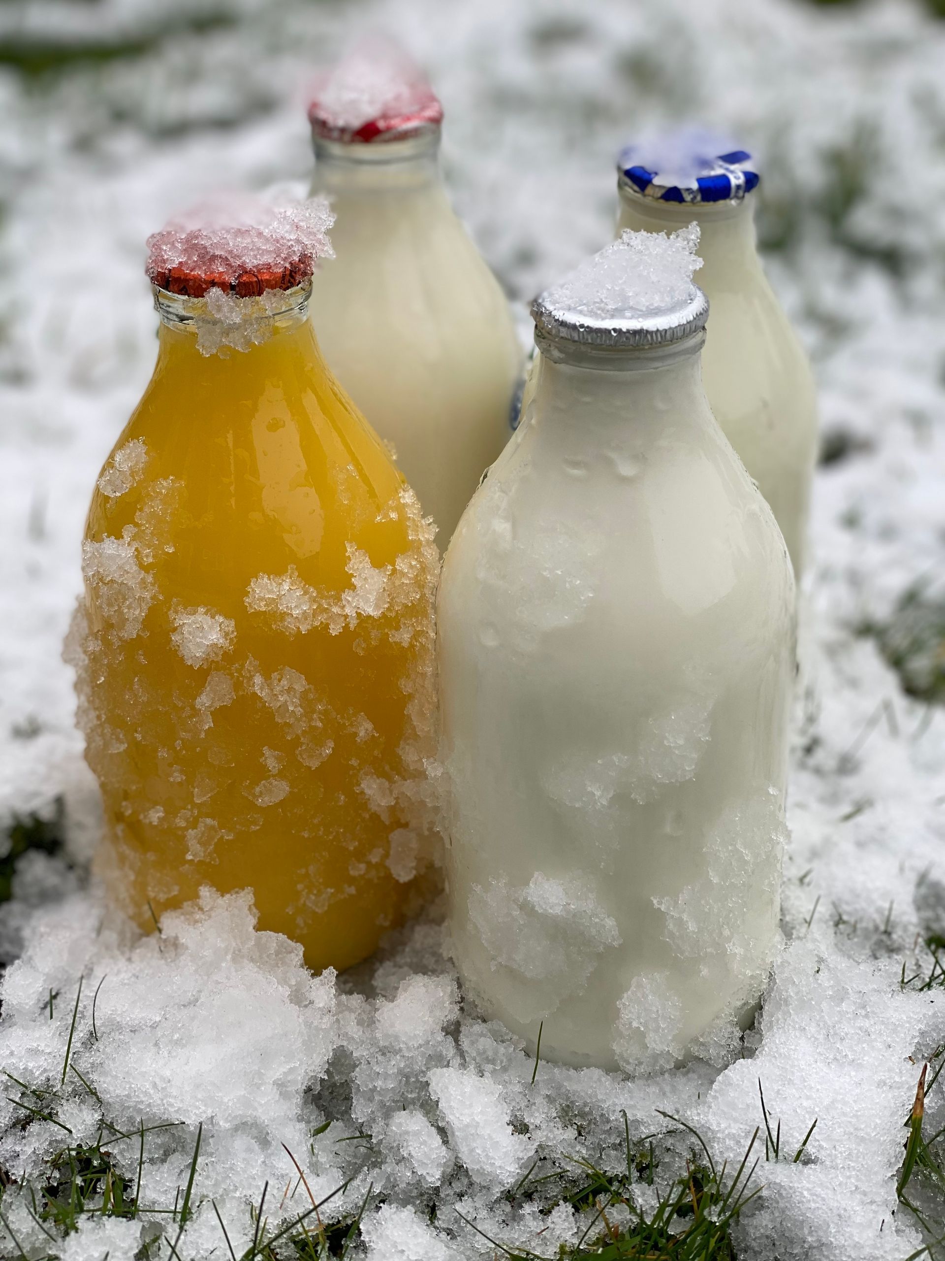 Four glass bottles, one containing orange juice and three with milk, sit in the snow, covered in ice and snow patches.
