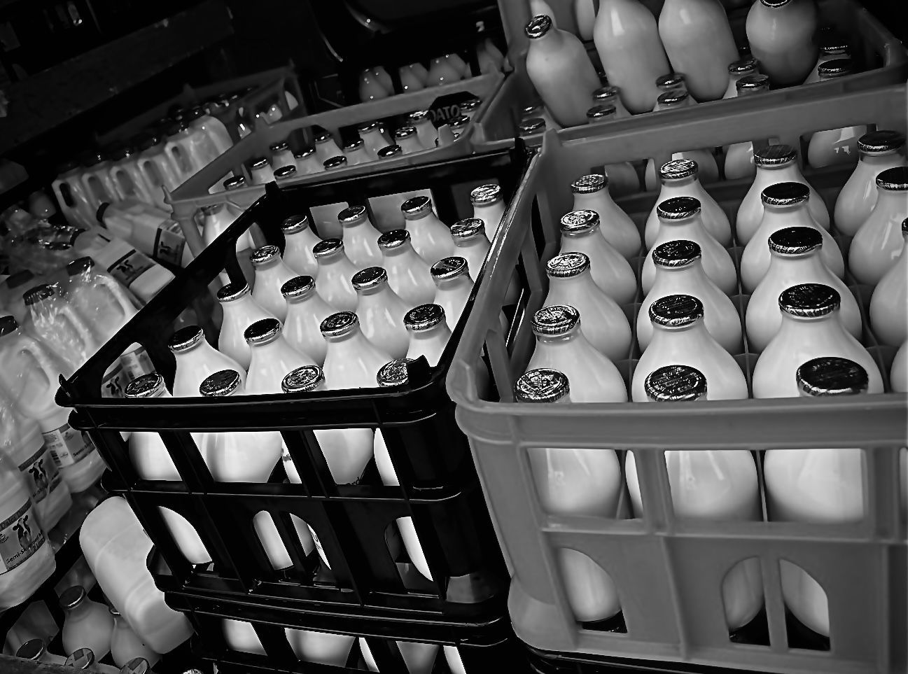 Black and gray plastic crates filled with glass bottles of milk, arranged in a storage area.