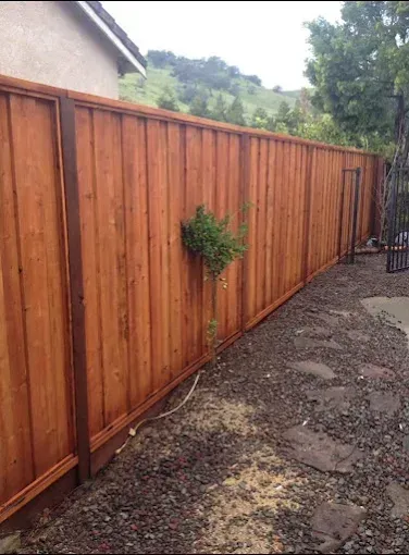 Wooden fence in a yard with a small plant growing through it.