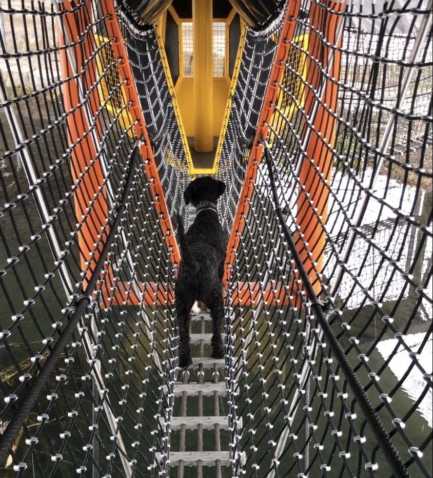 Kenai auf der Wackelbrücke