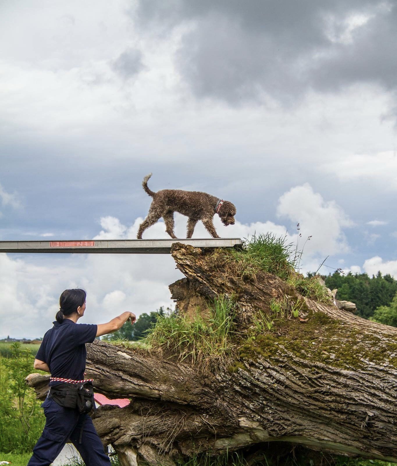 Nellie auf der Brücke
