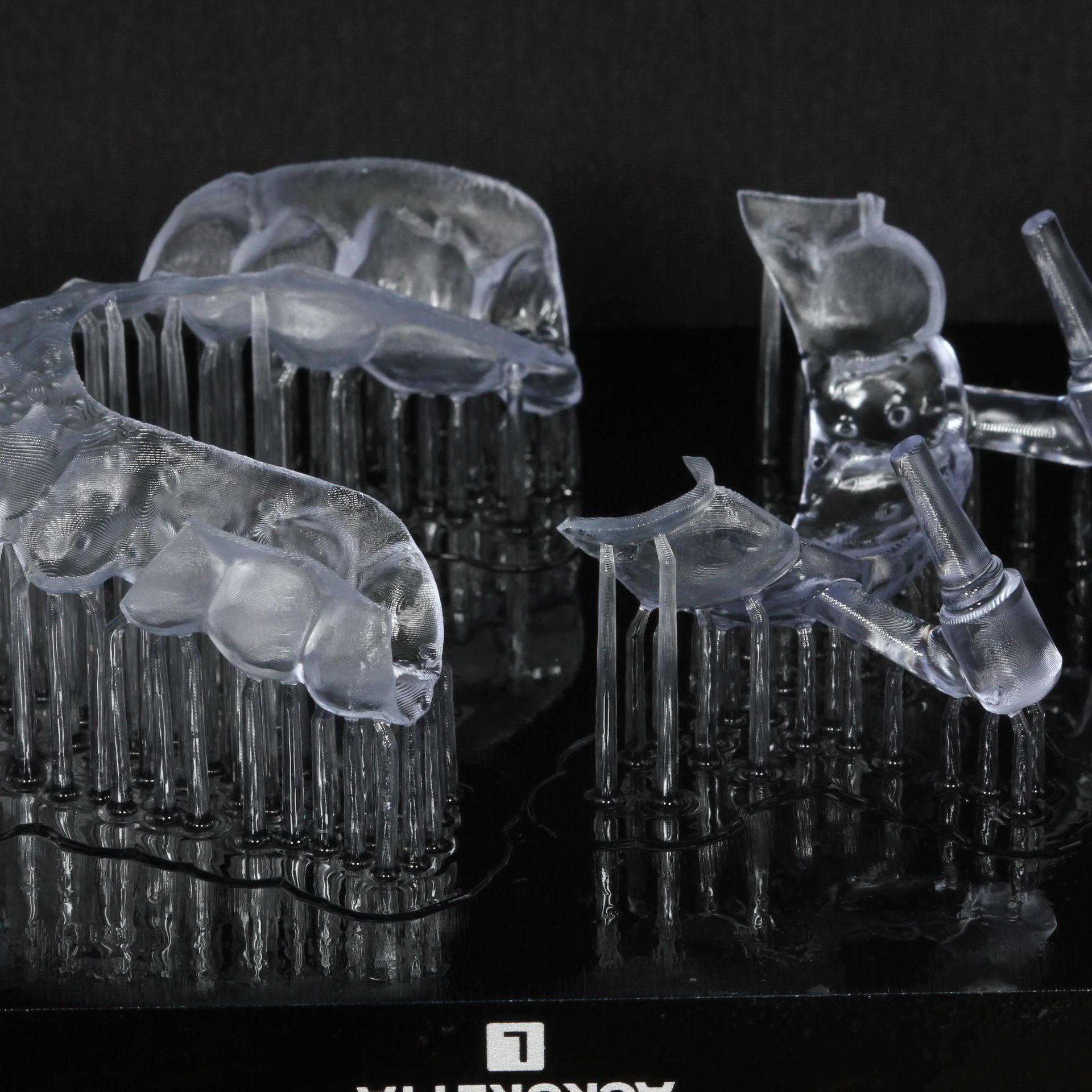 Dental implant, printreplacement, near me