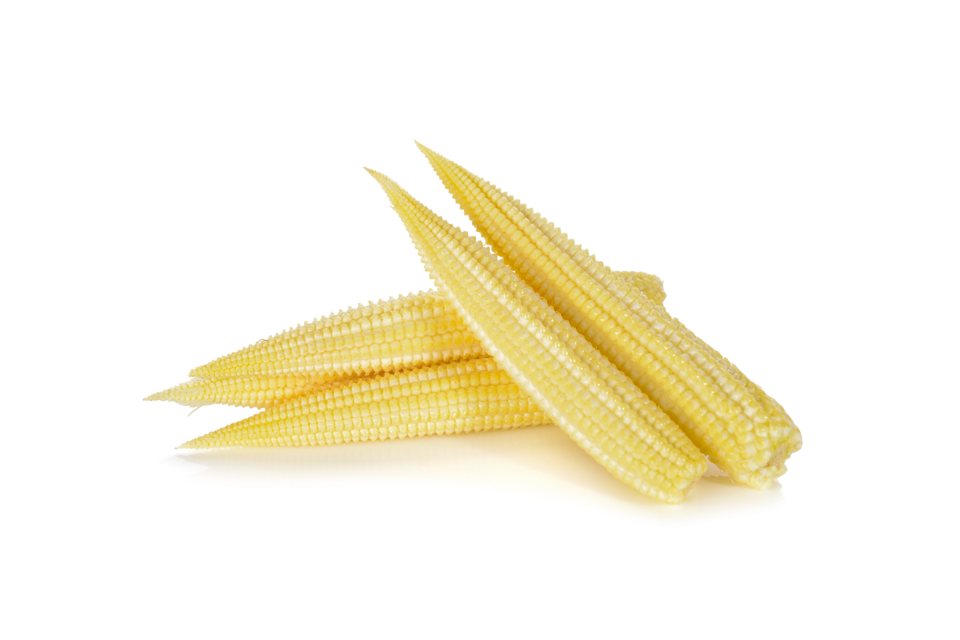 Fresh baby corn arranged for professional produce supply