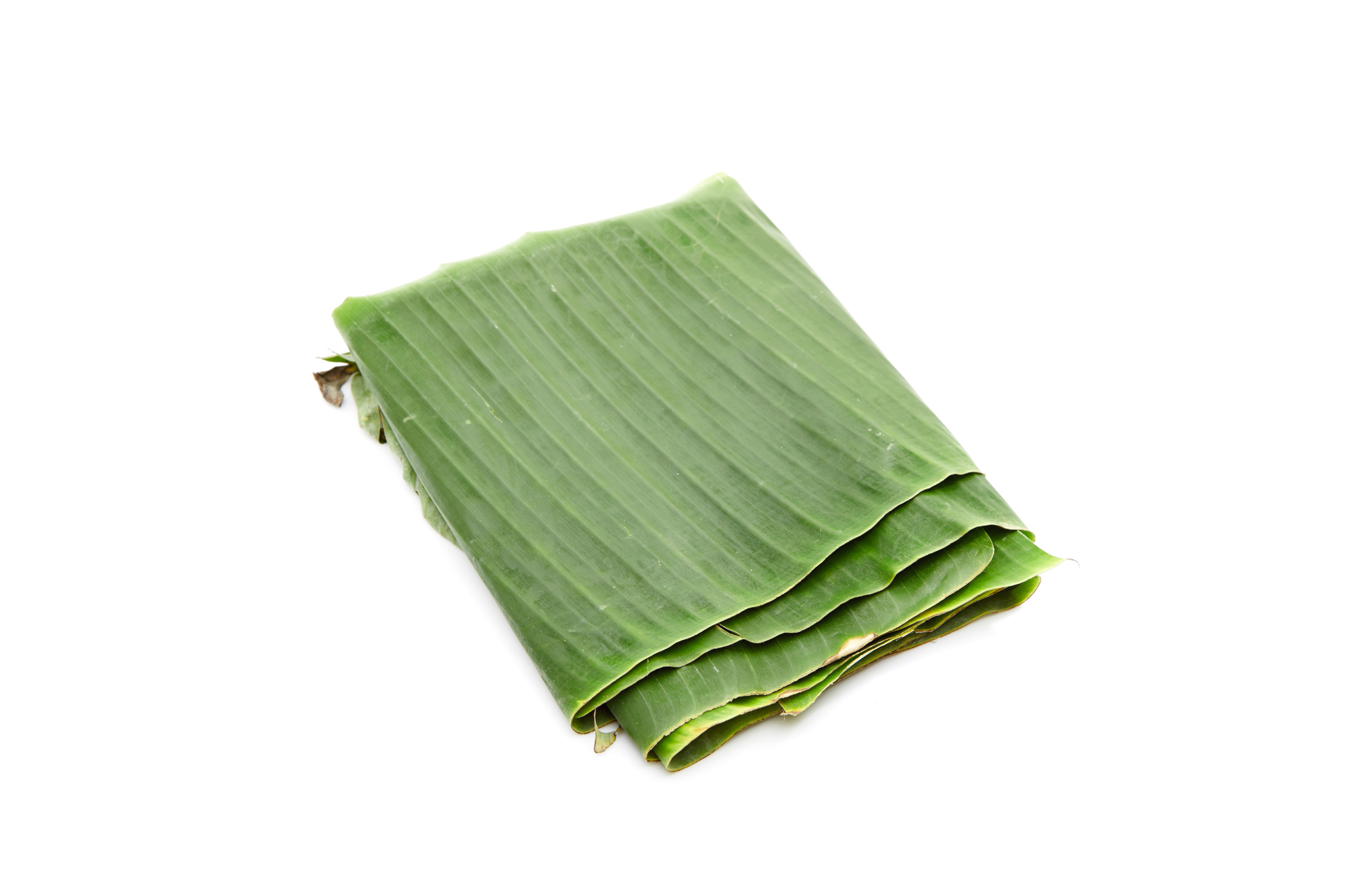 Fresh green banana leaves stacked for catering supply