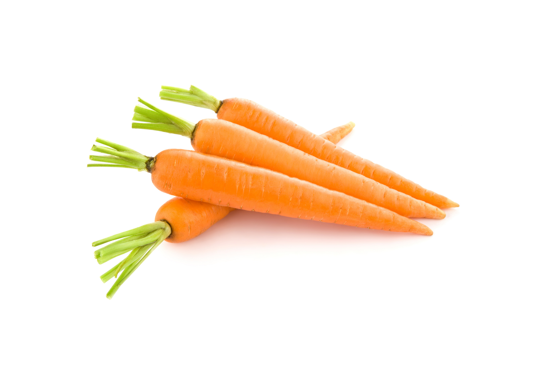 Carrots with green tops attached and bright orange roots