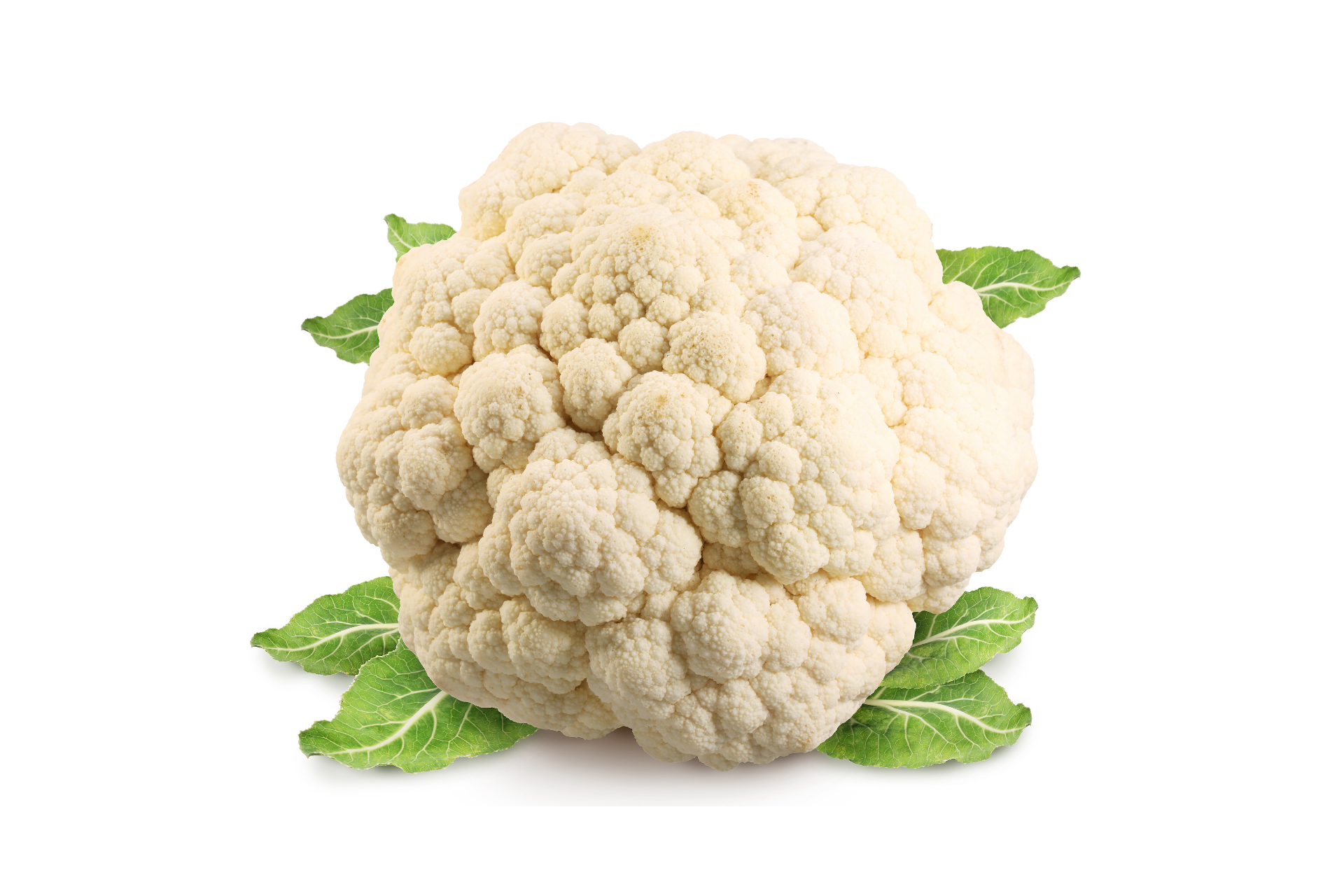 Whole cauliflower head with tight white curd