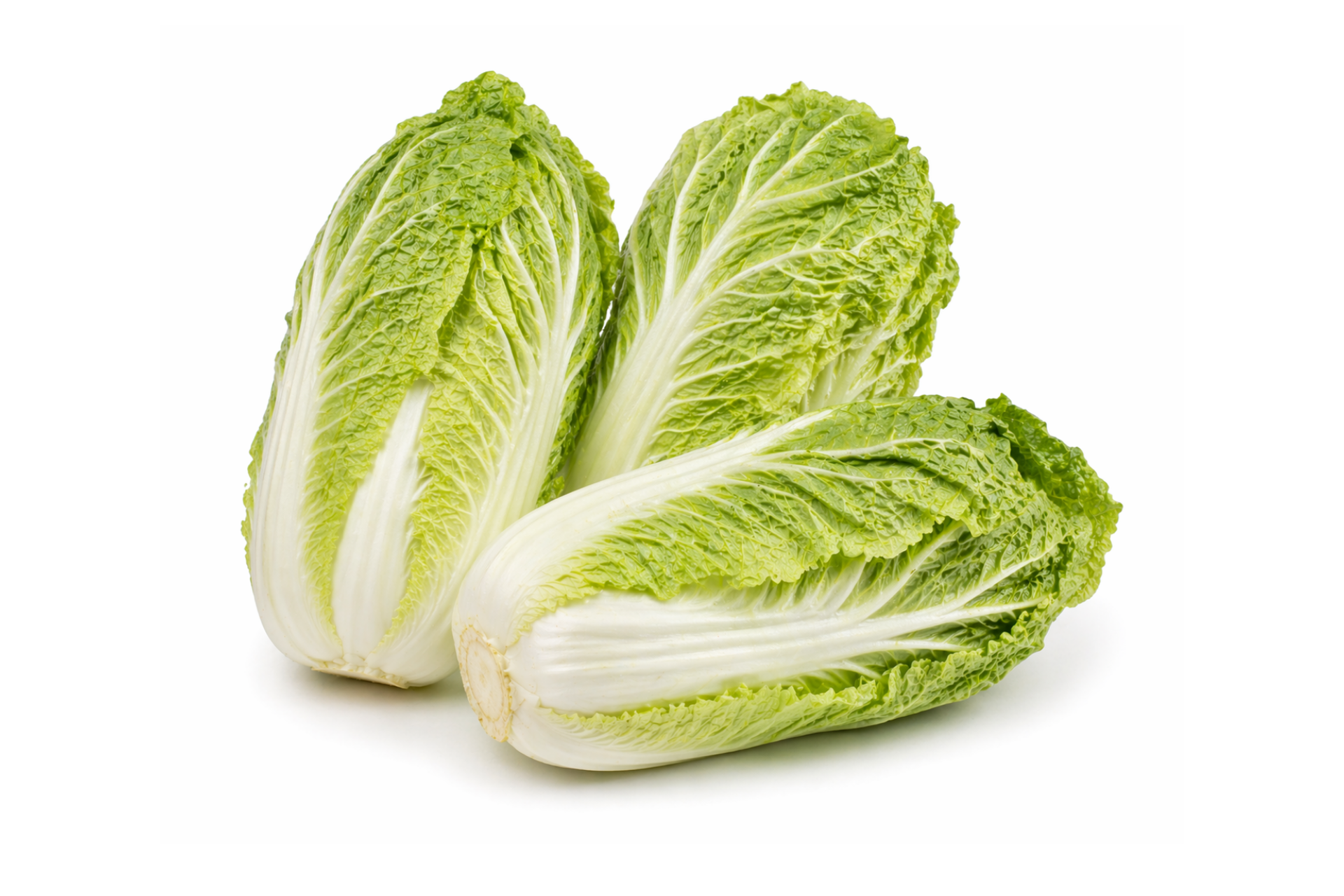 Chinese cabbage with pale stems and crinkled green leaves