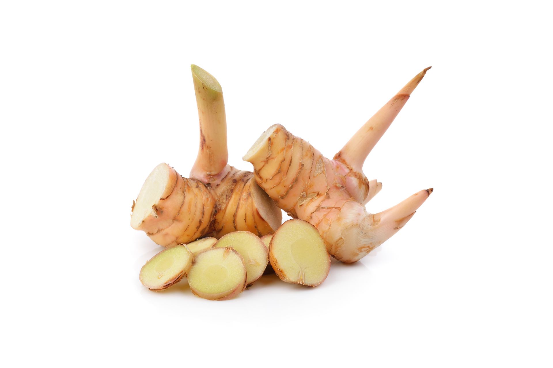 Fresh galangal roots with pale brown skin