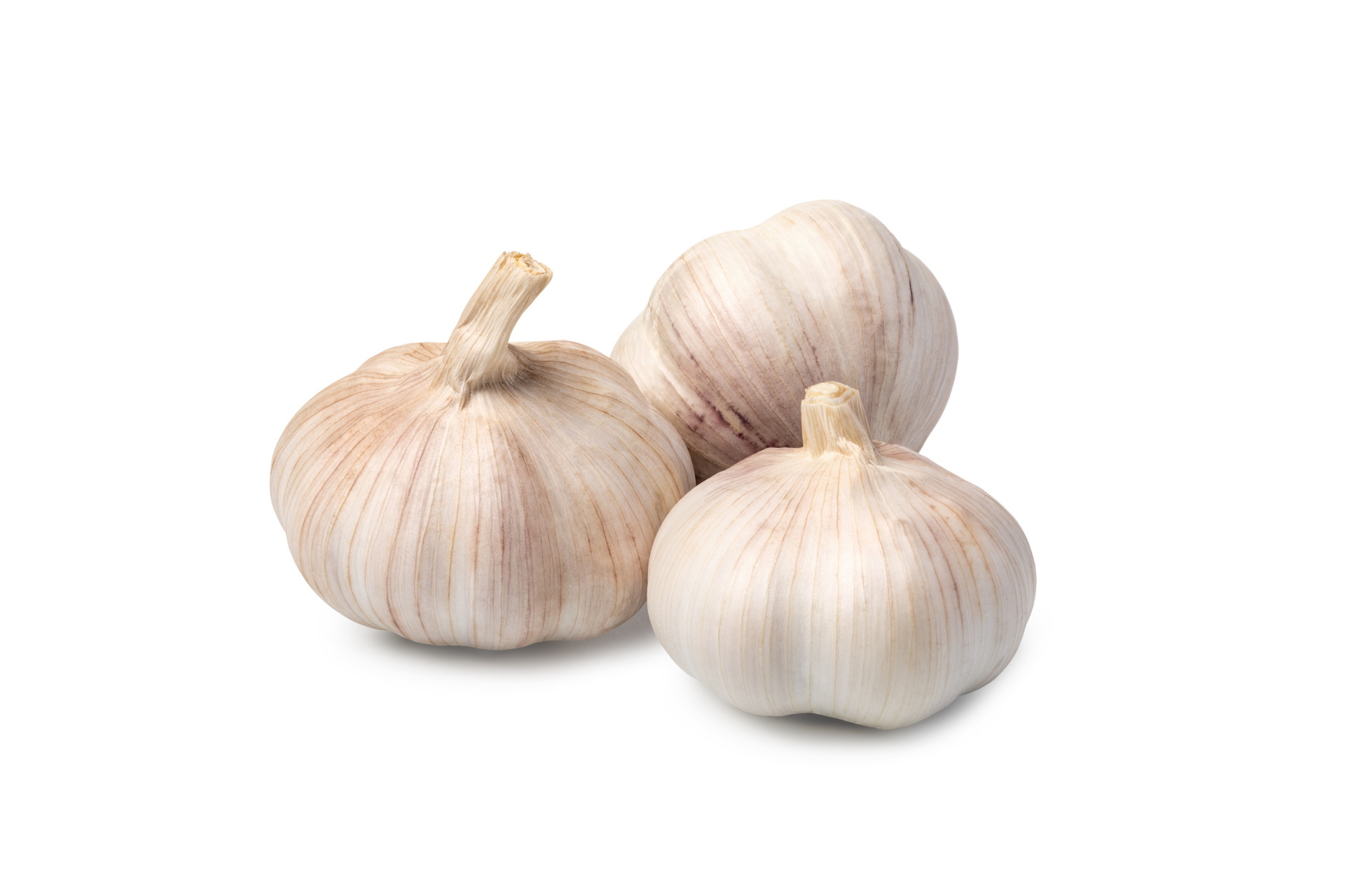 Whole garlic bulbs arranged for professional produce supply