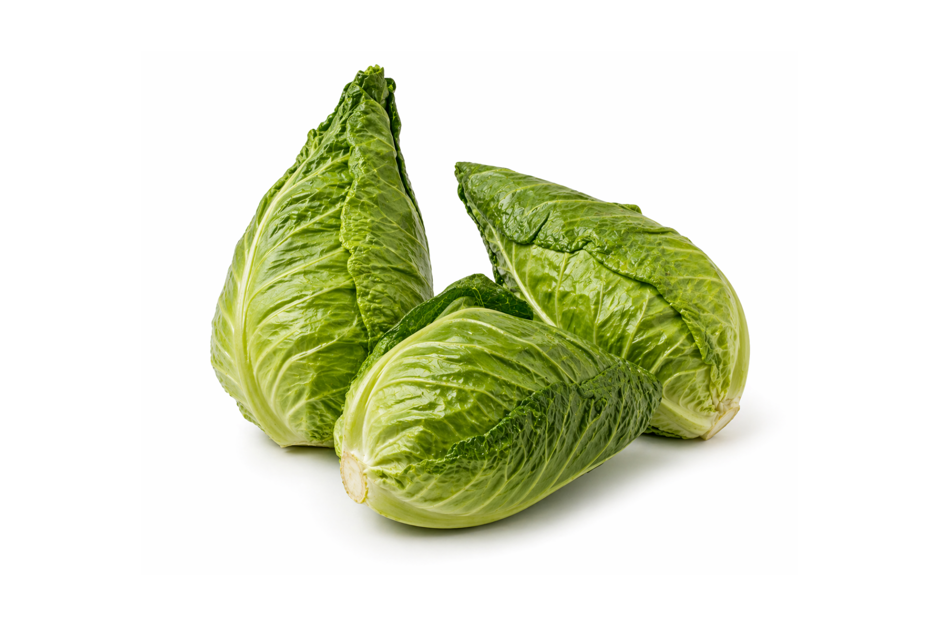 Whole hispi cabbage with pointed green leaves