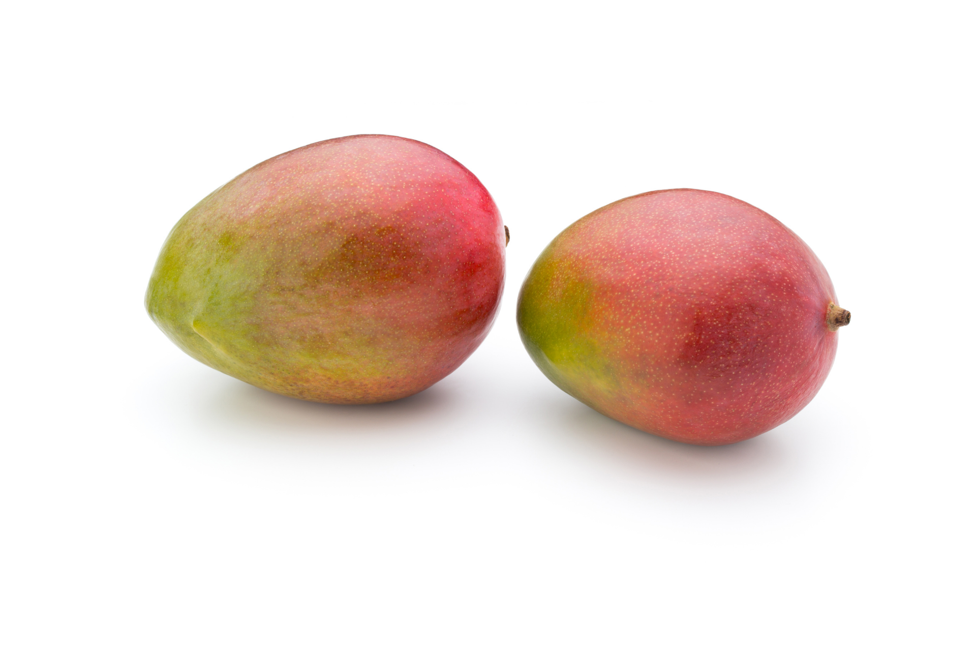 Whole Kent mango displayed for wholesale fruit supply