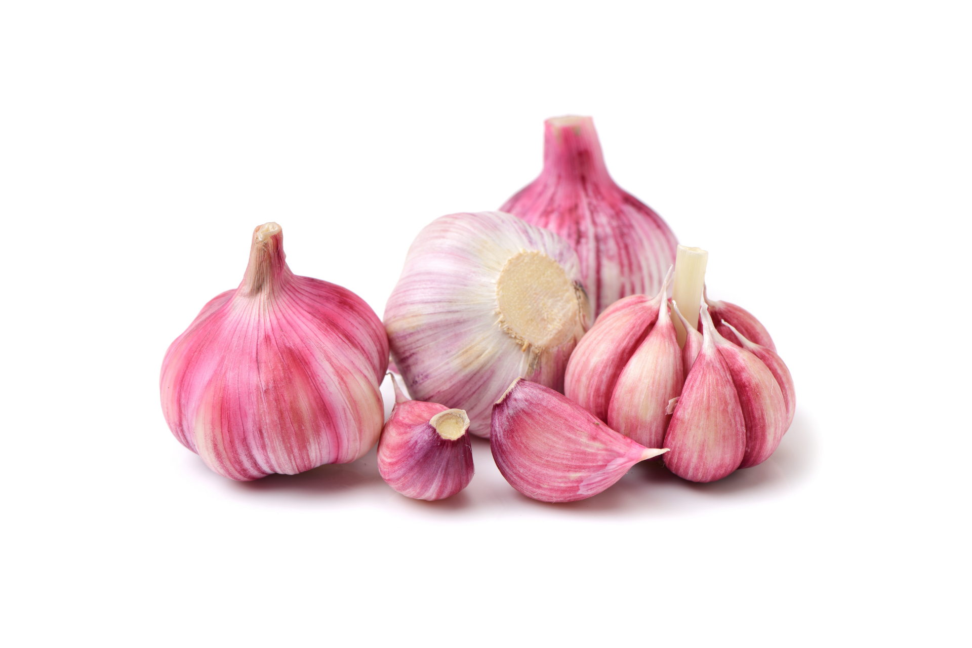 Pink garlic bulbs with lightly coloured outer skins