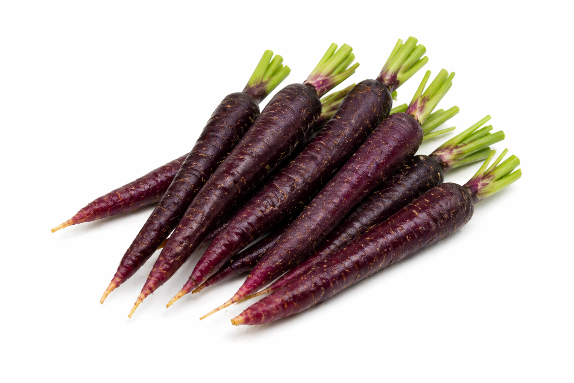Purple carrots with deep-coloured skins prepared for foodservice supply