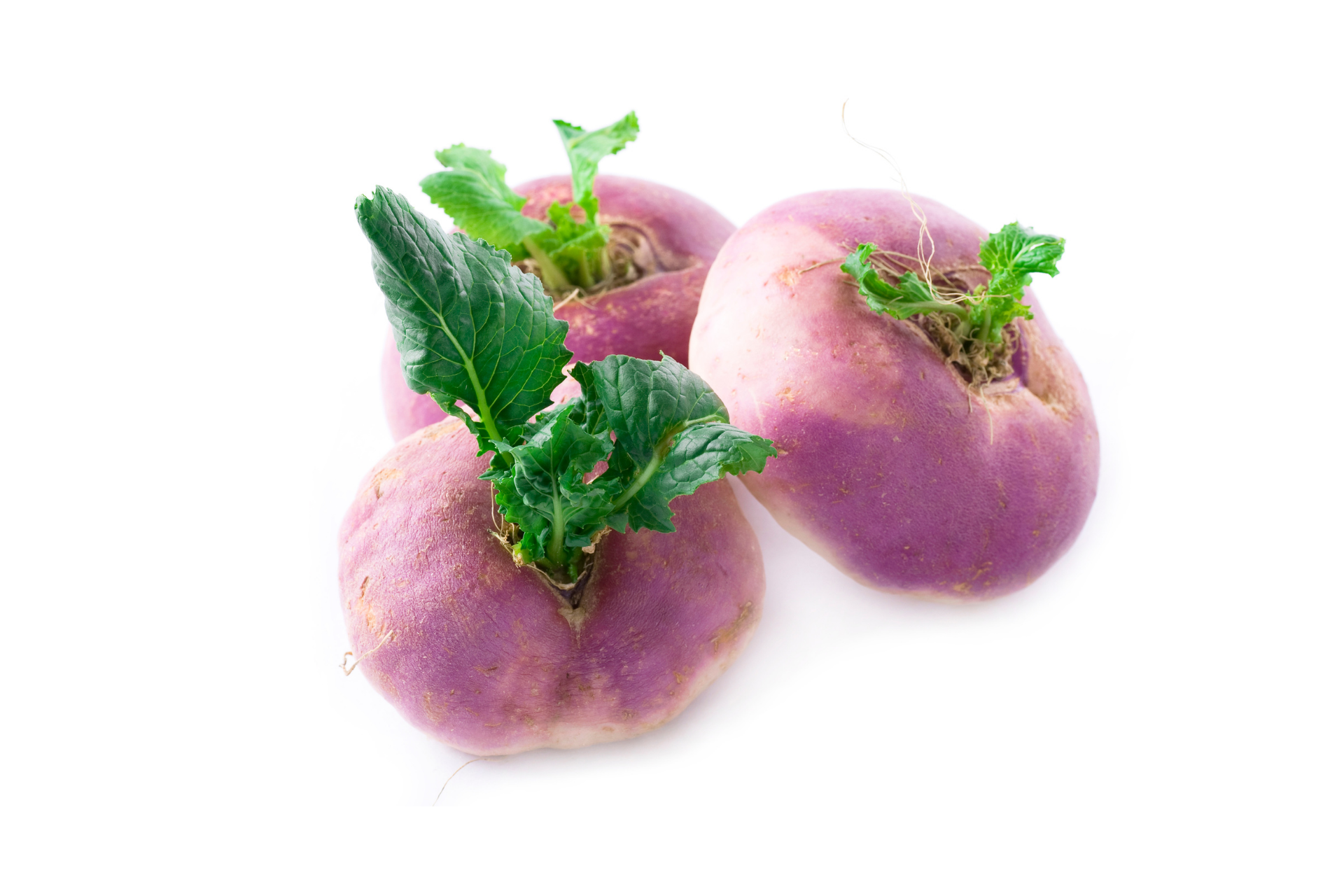 Whole turnips with pale purple and white colouring