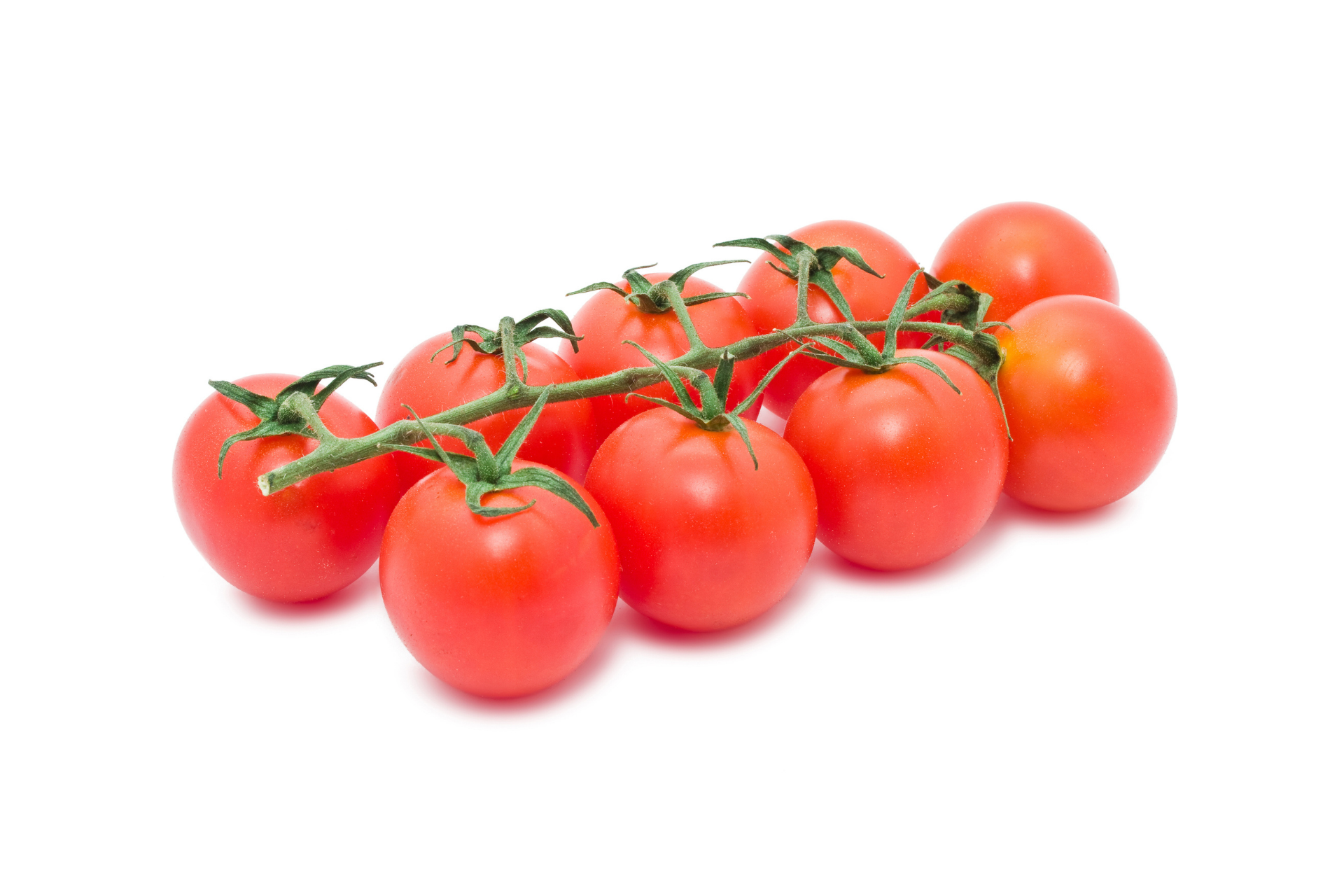 Red vine tomatoes attached to green stems