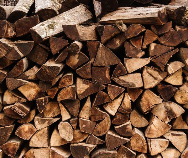 Plenty of Firewood — Fremont, NH — Bolduc Tree Service