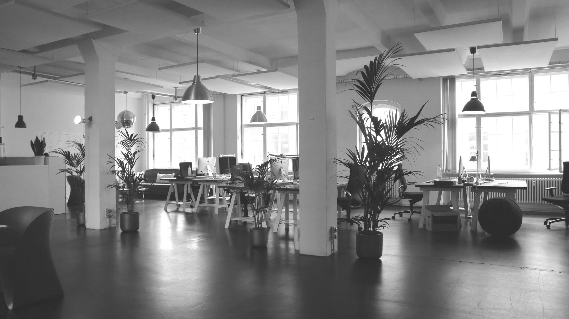 Open-plan office space with desks, potted plants, and large windows. Black and white photo.