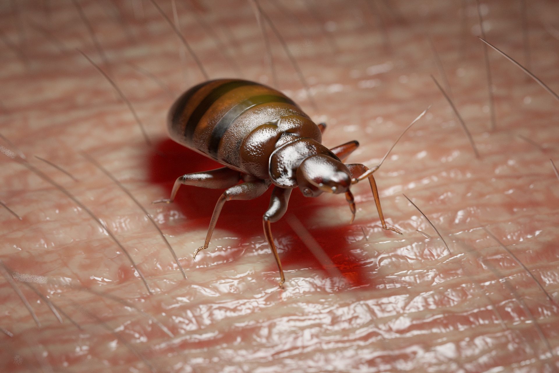 A bed bug is crawling on a person's skin.