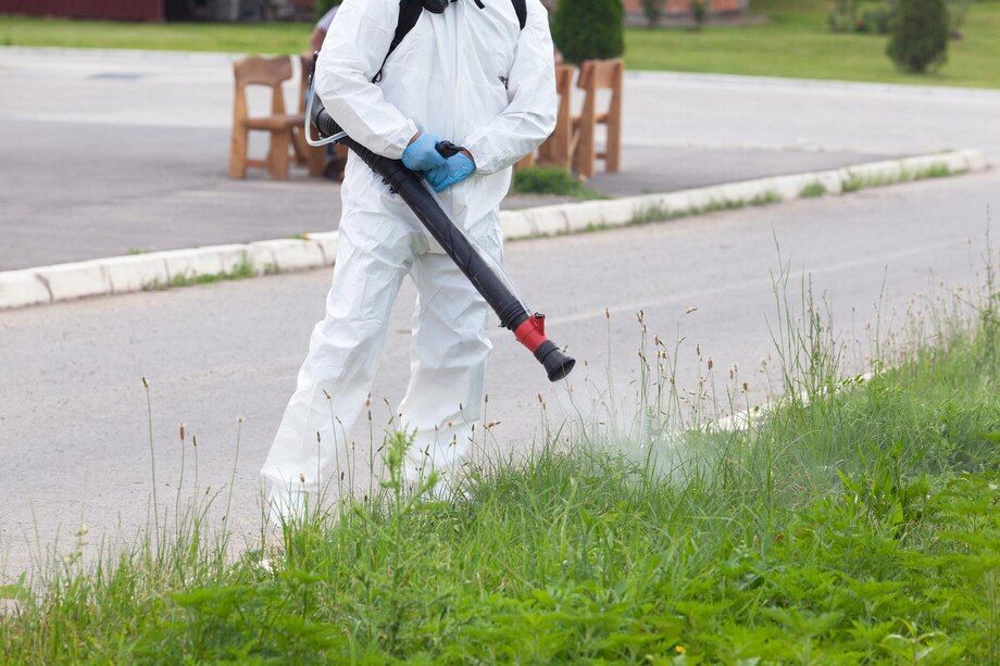 pest control service