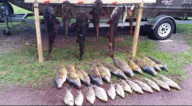 Carp & Catfish Bowfishing — Carps and Catfishes in Lancaster County, PA